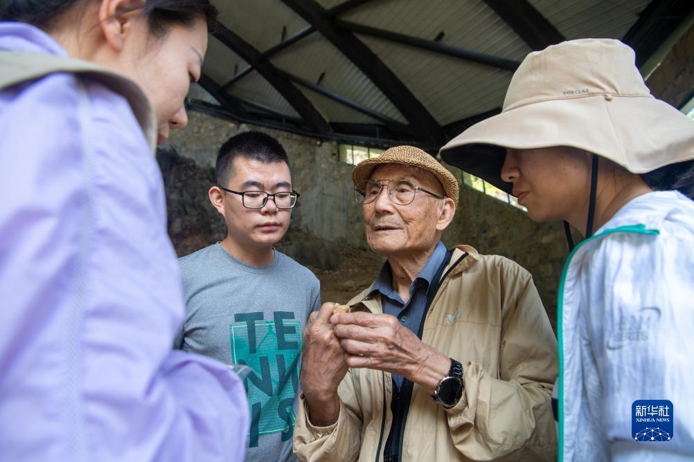 可提现水果机